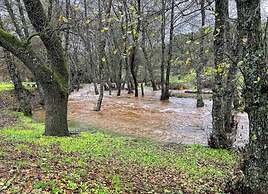 Casas Rurales Puerta de Andalucía