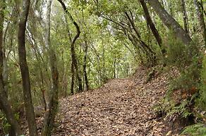 Beautiful Apartment Caleta Interian Beach