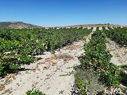 Casa Rural Garnacha de Borja has a Barbacue and Terrace