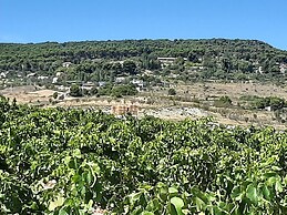 Casa Rural Garnacha de Borja has a Barbacue and Terrace