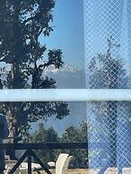 Maatidera Resort-Boutique himalaya stay