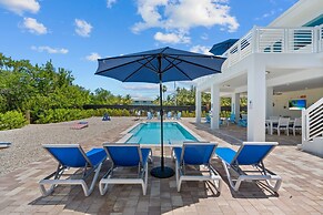 Paradise Point Pool Dock Lounges BBQ