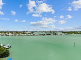 Paradise Point Pool Dock Lounges BBQ