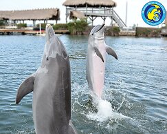 Luxury Seaside Escape Pool Dock Scenic Views