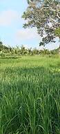 Hidden Jungle Village Wilpattu