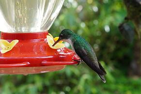 HOSTERIA KUMBHA MELA