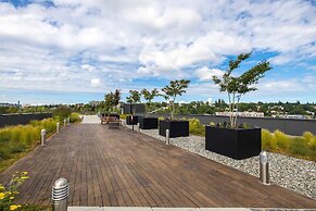 Modern Studio Steps to UW