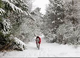 The Stables Cottage Aboyne Royal Deeside