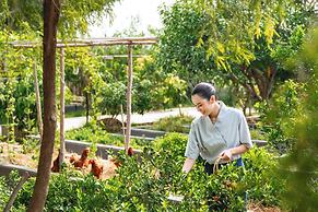 Thann Wellness Destination