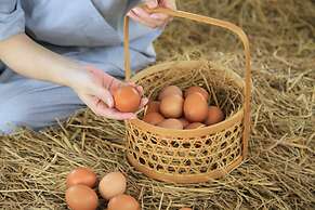 Thann Wellness Destination