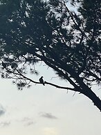 La Canostra Capri Luxury ROOM