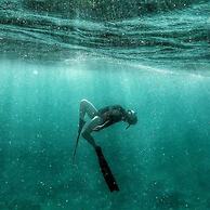 Dive and Trek Resort & Marine Sanctuary