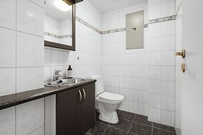 Arctic Homes - Downtown Penthouse