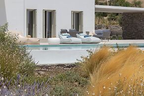 Luxurious Villa Ioli Paros