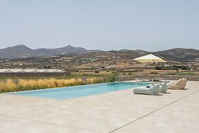 Luxurious Villa Ioli Paros