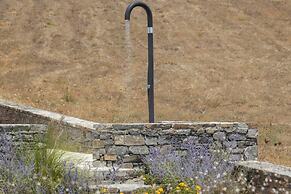 Luxurious Villa Ioli Paros