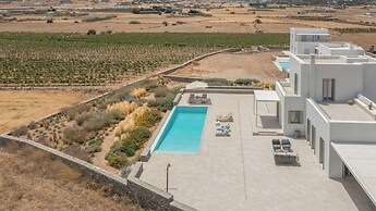 Luxurious Villa Ioli Paros