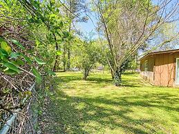 The Blue Spring Oasis