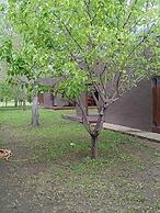 La Divina Pereza Eco