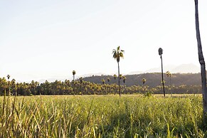 Amet Nature Retreat