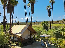 Amet Nature Retreat