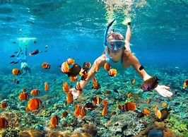 New and modern apartment Belice