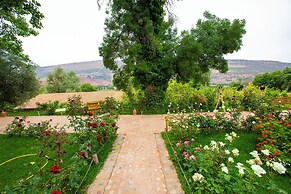 The Garden of Asni