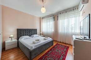 The Vibrant Hub in Shkod r