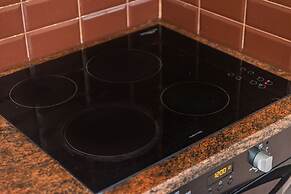 The Vibrant Hub in Shkod r