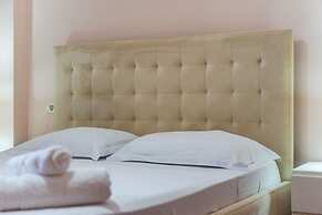 The Vibrant Hub in Shkod r