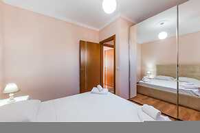 The Vibrant Hub in Shkod r