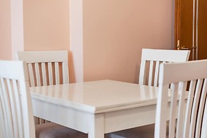 The Vibrant Hub in Shkod r