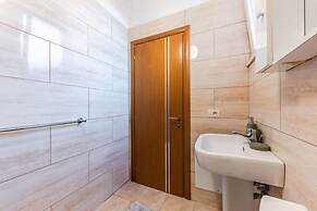 The Vibrant Hub in Shkod r