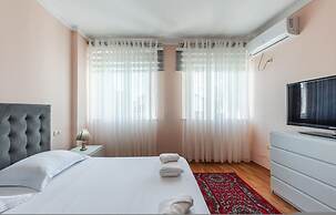 The Vibrant Hub in Shkod r