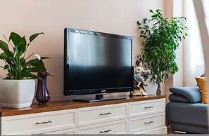 The Vibrant Hub in Shkod r