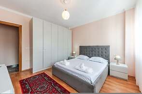 The Vibrant Hub in Shkod r