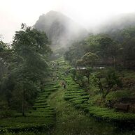Willmount Geodesic Domes Vagamon