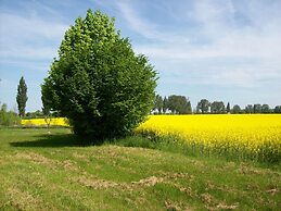Gorgeous Apartment in Neuburg With Terrace