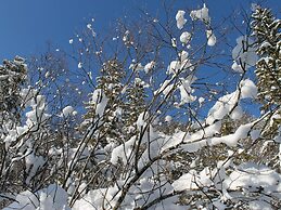 Gorgeous Apartment in Neuburg With Terrace