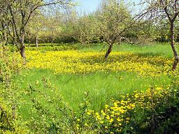 Gorgeous Apartment in Neuburg With Terrace