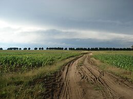 Gorgeous Apartment in Neuburg With Terrace