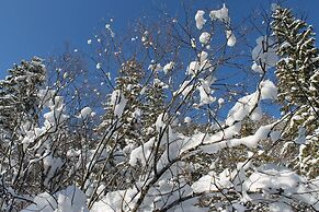 Gorgeous Apartment in Neuburg With Terrace