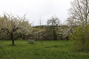 Gorgeous Apartment in Neuburg With Terrace