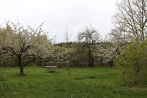 Gorgeous Apartment in Neuburg With Terrace