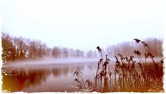 Gorgeous Apartment in Neuburg With Terrace