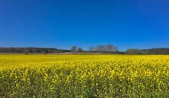 Gorgeous Apartment in Neuburg With Terrace