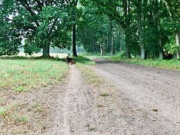 Charming Holiday Home in Wolin With Terrace