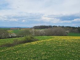 Relaxing Holiday Home in Willersdorf in the Forest