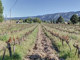 Charming Cottage in Oppede Amidst Vineyards