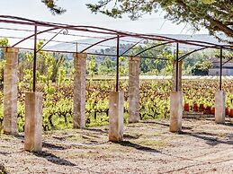 Charming Cottage in Oppede Amidst Vineyards